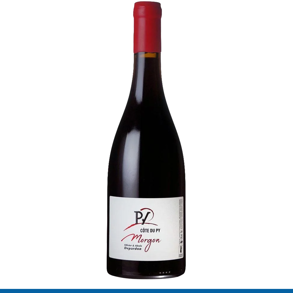 Domaine De La Bêche Morgon Côte Du Py